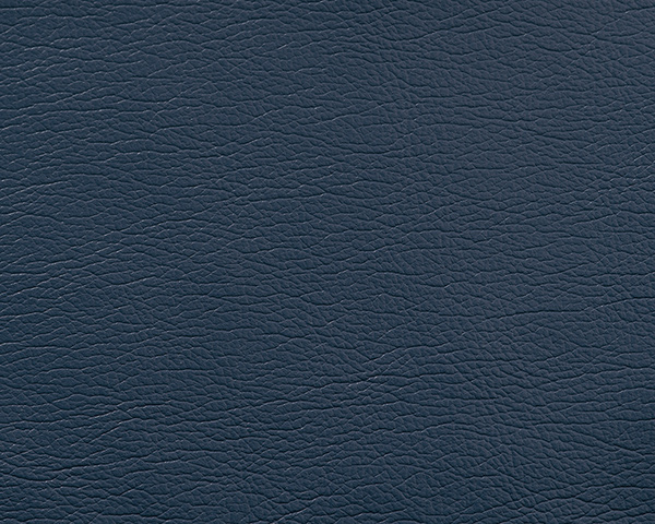 Diplomat Blue
